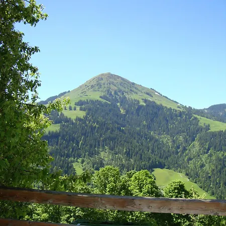 Alpengasthof Gruberhof Penzion